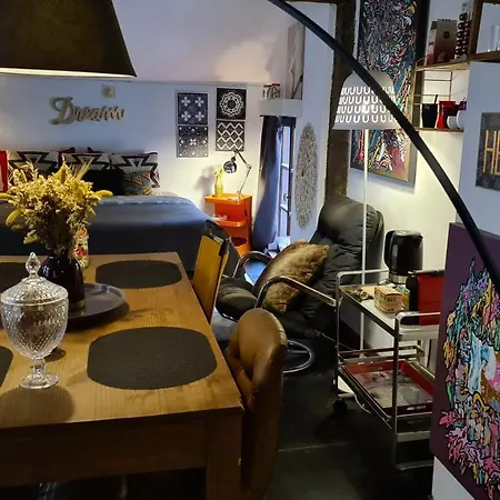 Homestay Spacieuse Chez L'habitant Dans Le Coeur Historique De La Ville Liege