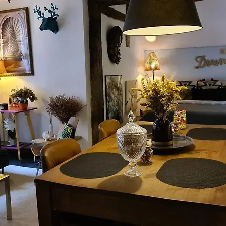 Spacieuse Chez L'habitant Dans Le Coeur Historique De La Ville Homestay Liege