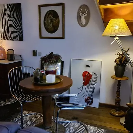 Spacieuse Chez L'habitant Dans Le Coeur Historique De La Ville *