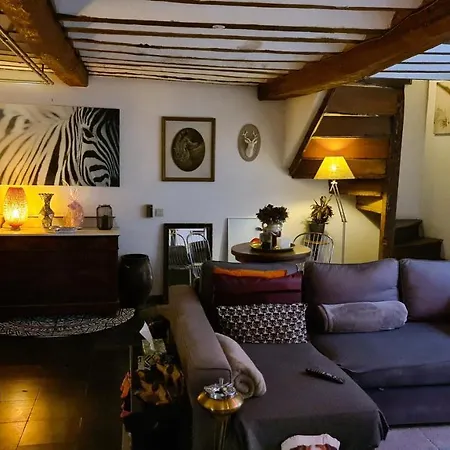 Spacieuse Chez L'habitant Dans Le Coeur Historique De La Ville בית אירוח *