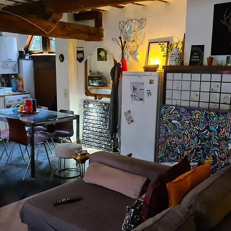Spacieuse Chez L'habitant Dans Le Coeur Historique De La Ville *