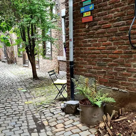 Spacieuse Chez L'habitant Dans Le Coeur Historique De La Ville * לייז'