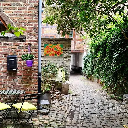 Spacieuse Chez L'habitant Dans Le Coeur Historique De La Ville בית אירוח *